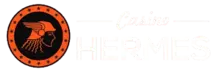 Hermes logo